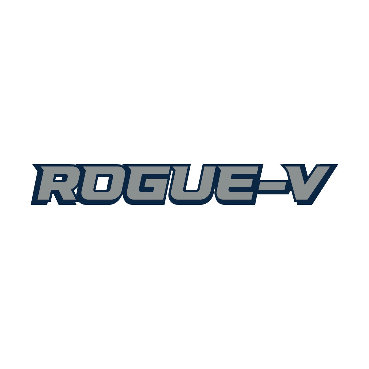 Rogue V Boat